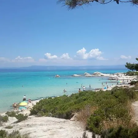 Dino's Sarti