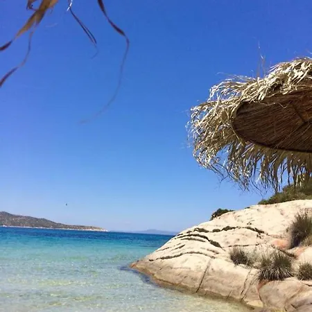 Dino's Sarti