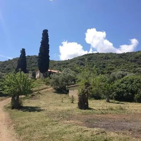 Dino's Holiday home Sarti